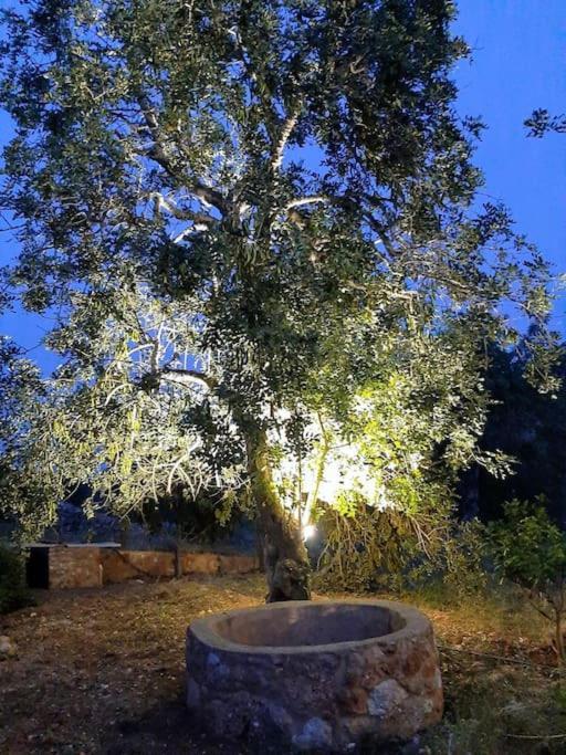阿尔布费拉Quinta Do Cerro Sao Vicente别墅 外观 照片